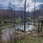 Borowkowy Bukiet Smakow