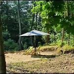 Borowkowy Bukiet Smakow Iwkowa