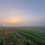Borowkowy Bukiet Smakow Iwkowa