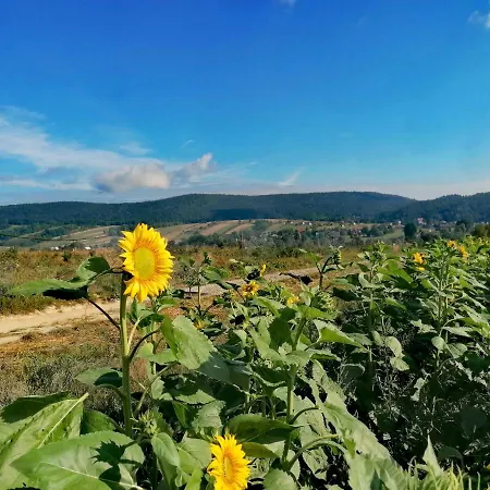 Borówkowy Bukiet Smaków Kompleks wypoczynkowy