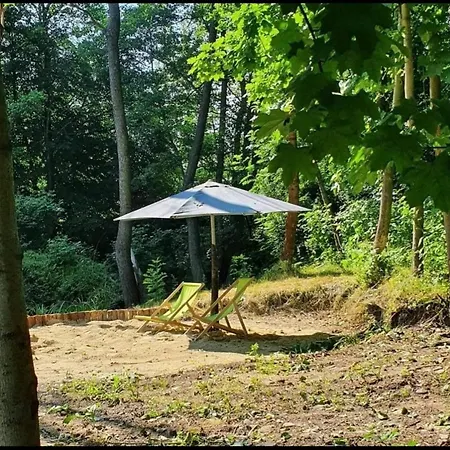 Borówkowy Bukiet Smaków Iwkowa