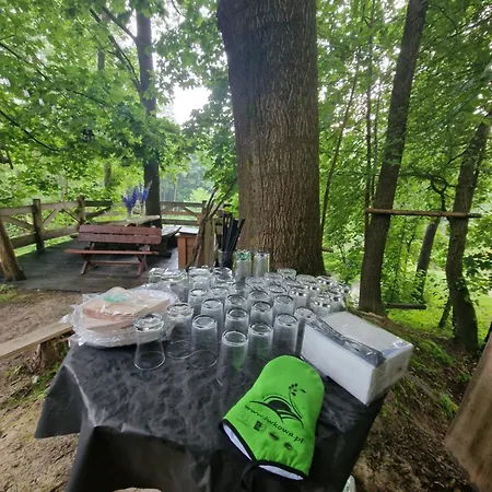 Borówkowy Bukiet Smaków Iwkowa